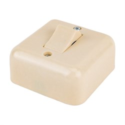 Одноклавишный выключатель ООО Ливны-Электро А1-003 УХЛ 4 - фото 16771851