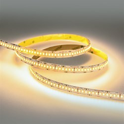 Светодиодная лента ELEGANZ EL-LS-24N - фото 16809879