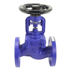 Чугунный фланцевый сильфонный запорный клапан DN.ru v234a - фото 16810882