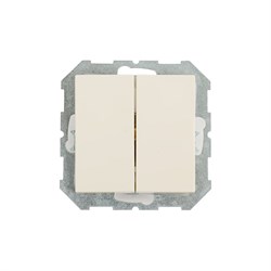 Двухклавишный выключатель LIREGUS Эпсилон - фото 16823992