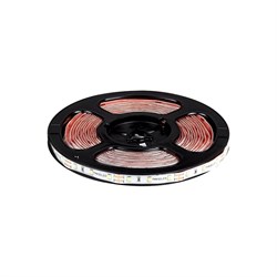 Светодиодная лента MAKSILED ML-R60-2835-CW-HP-ST - фото 16824289