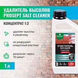 Смывка высолов PROSEPT SALT CLEANER - фото 16828822