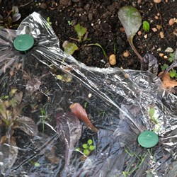 Садовые крепежные гвозди Мультидом 15 см, 4 шт. - фото 16831764