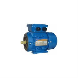 Электродвигатель 5АИ 56 А4 FT85 0.12/1500 IM 2181 - фото 16832914