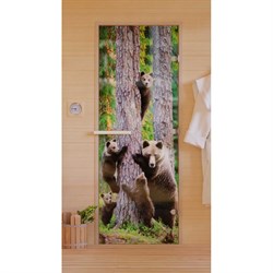 Дверь для бани DoorWood Фотопечать - фото 16849284