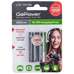 Бытовой аккумулятор GoPower HR6 - фото 16867988