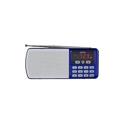 Цифровой радиоприемник Perfeo ЕГЕРЬ - фото 16889741