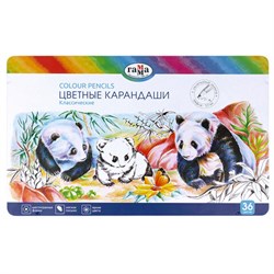 Карандаши цветные ГАММА "Классические", 36 цветов, металлический пенал, шестигранные, грифель 3,3 мм, натуральное дерево, 80220215 - фото 16900592