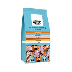 Шоколад порционный WELDAY (ВЭЛДЭЙ) Ассорти 6 вкусов, 810 г (54 плитки по 15 г), пакет, 622409 - фото 16900821