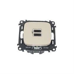 Зарядное устройство Legrand Valena Allure - фото 16923753