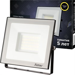 Светодиодный прожектор Ritter Profi - фото 16930863