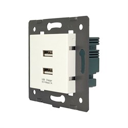 Розетка LIVOLO AM-2USB-11 - фото 16932805