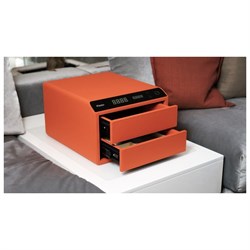 Мебельный сейф KLESTO Smart JS2 - фото 16937644