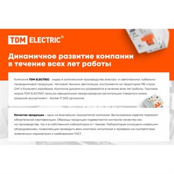Заглушка для ЗНИ-35 мм2 TDM ELECTRIC SQ0803-0023 - фото 16941621