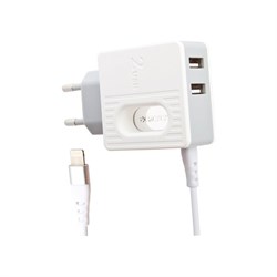 Сетевое зарядное устройство Borofone ba34 power essence - фото 16945507