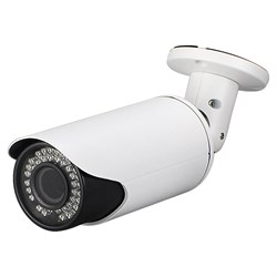 Видеокамера IP Рубин DVI-S125 POE LV - фото 16949925