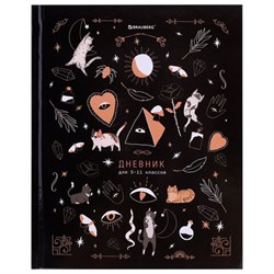 Дневник 5-11 класс 48 л., твердый, BRAUBERG, глянцевая ламинация, с подсказом, "Astro cats", 106868 - фото 16959553
