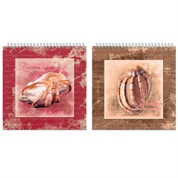 Скетчбук, белая бумага 160 г/м2, 190х190 мм, 60 л., гребень, жёсткая подложка, 2610 - фото 16959586