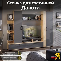 Набор мебели для общей комнаты ТриЯ Дакота дуб крафт золотой/антрацит - фото 16964372