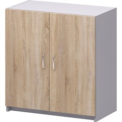 Закрытый шкаф Комфорт-Питер 2550 Бюджет - фото 16990792