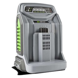 Зарядное устройство для аккумуляторов Remarc EGO Remarc 1429519 - фото 17016104