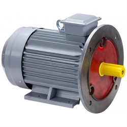 Общепромышленный электродвигатель ESQ PR 160 S4 GST-Б1-S12-IE2 - фото 17029350