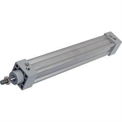 Пневмоцилиндр NBPT 81876 - фото 17033257