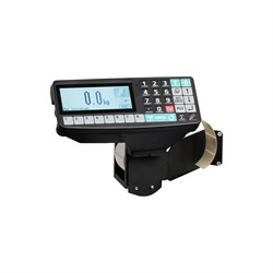 Весовой терминал МАССА-К RP - фото 17084100