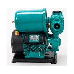 Насосная станция TAIFU TGP125 - фото 17090121