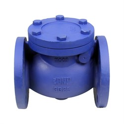 Чугунный фланцевый поворотный обратный клапан DN.ru 302a - фото 17093239