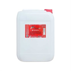 Ксилол ПереСвет 00-00000133 - фото 17095334