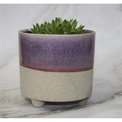 Кашпо SCHEURICH Kübel Piaff sandy purple - фото 17105772