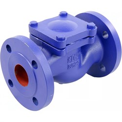 Чугунный фланцевый обратный подъемный клапан DN.ru 287a - фото 17106714