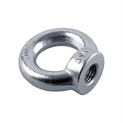 Рым-гайка swfs тов-017145 - фото 17107404