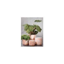 Кашпо SCHEURICH Kübel LINO - фото 17121518