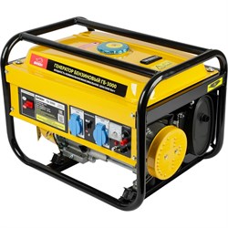 Бензиновый генератор Бизон ГБ-3000 - фото 17128519