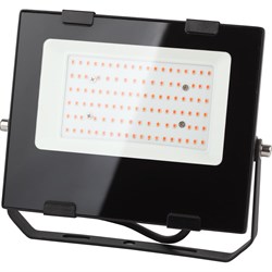 Прожектор ЭРА FITO - фото 17175714