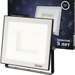 Светодиодный прожектор Ritter PROFI - фото 17192864