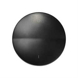 Клавиша для одноклавишного двухполюсного выключателя Simon с пиктограммой графит - фото 17206014