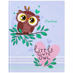 Дневник 1-4 класс 48 л., твердый, ЮНЛАНДИЯ, глянцевая ламинация, с подсказом, "Совушка", 106594 - фото 17215350