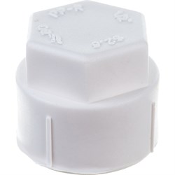 Резьбовая заглушка Blue Ocean PPRF/SCAPF(W) - 1/2" - фото 17256042