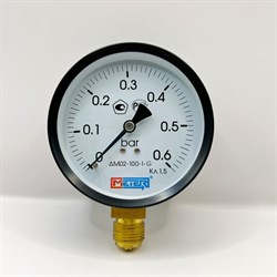 Манометр Метер ДМ 02-100-1-G - фото 17263791