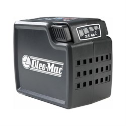 Аккумуляторная батарея Oleo-Mac 5403-0001 - фото 17263834