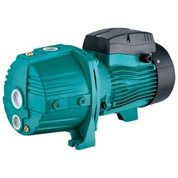 Насос с внешним эжектором LEO AJDm 55 - фото 17295628