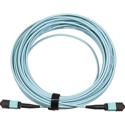 Кабельная сборка TopLan TOP-12M-12M/OM3B-2.0 - фото 17298473