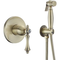 Гигиенический душ ROSE R0105Q - фото 17299024