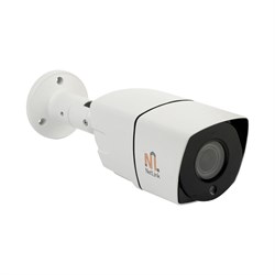 Уличная корпусная ip камера Netlink NL-IPC-P1-2VF - фото 17299529