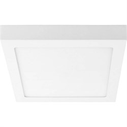 Потолочный светодиодный светильник Lightstar 324184 - фото 17301563