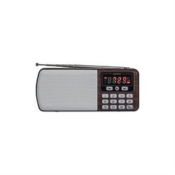 Цифровой радиоприемник Perfeo ЕГЕРЬ - фото 17301846