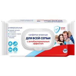 Салфетки влажные 120 шт., АВАНГАРД, для всей семьи, антибактериальные, крышка-клапан, 72082 - фото 17307659